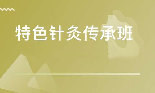 特色针灸传承班