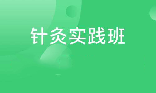 针灸实践班