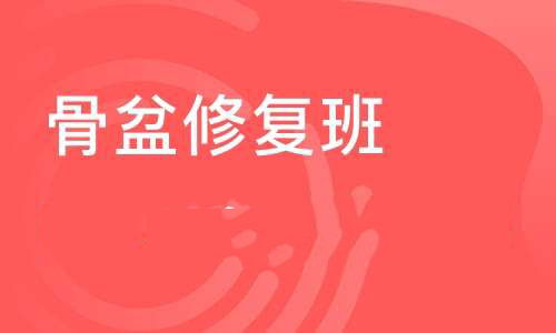 骨盆修复班